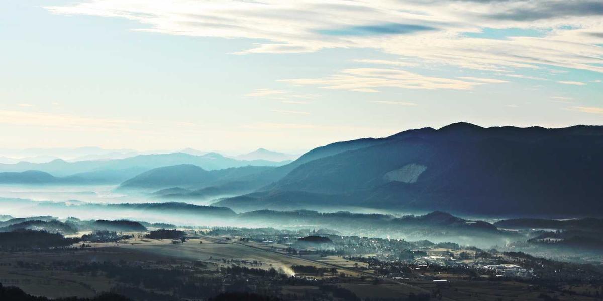 Organic Pest Control Methods